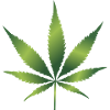 Cannabis