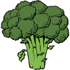 broccoli broccoli veggie gemuese vegetables1
