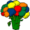 broccoli brocoli veggie gemuese vegetables13
