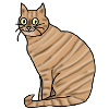 Katze