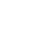 Arthur Schopenhauer