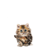 I love cats