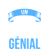 je suis un Jongleur génial