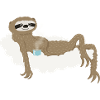 Faultier_auf_Wolke