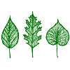 feuilles vertes