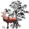 Deer Forest