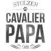 Cavalier King Charles Spaniel Papa