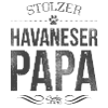 Stolzer Havaneser Papa