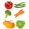 tomate tomates tomate légume vegetables7