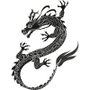 Dragonflight black