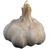 garlic garlic veggie vegetables vegetables6