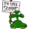 Sonnenfrosch