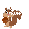 NÜFFE? Eichhörnchen Nüsse Geschenk Comic