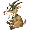 Cute funny goat