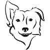 Border collie silhouette