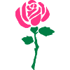 2541614 11180154 rose