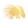 gold porcupine
