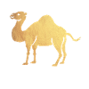 gold camel