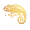 gold chameleon