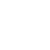 porcupine