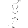 Luminous / Glow in the dark firefly luciferin