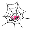 2541614 12357668 spinne