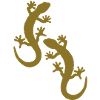 two geckos