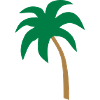 Palm tree