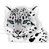 POLAR TIGER