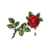 Bleeding Rose