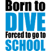 2541614 13314411 dive