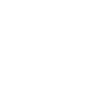 pilot