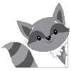 Raccoon