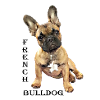 Frenchi