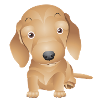 3 chien