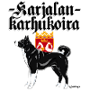 Karelian Bear Dog 03