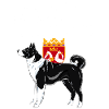Cattle Shepherd Dog 01
