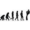 Leek evolution