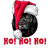 LABRADOR HO HO HO