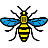 Manchester Bee (Colour)