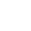 45 Schweizerdeutsch