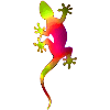 Gecko 1.1