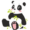 the cute panda