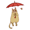parapluie chat