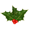 Holly