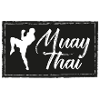 Muay Thai Patch