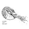 Studio Van Keulen - Odd fish