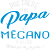 Papa et mécano