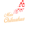 Chihuahua - Mein