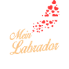 Labrador - Mein